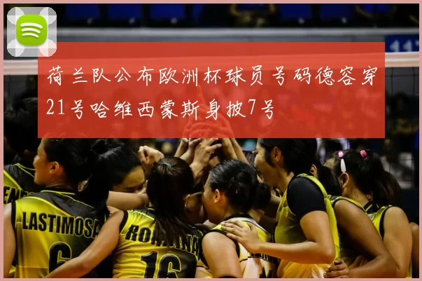 荷兰队公布欧洲杯球员号码德容穿21号哈维西蒙斯身披7号