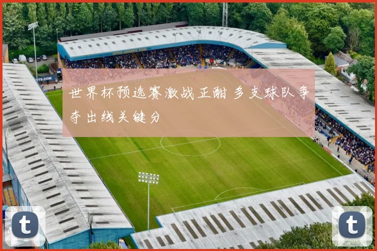 世界杯预选赛激战正酣 多支球队争夺出线关键分