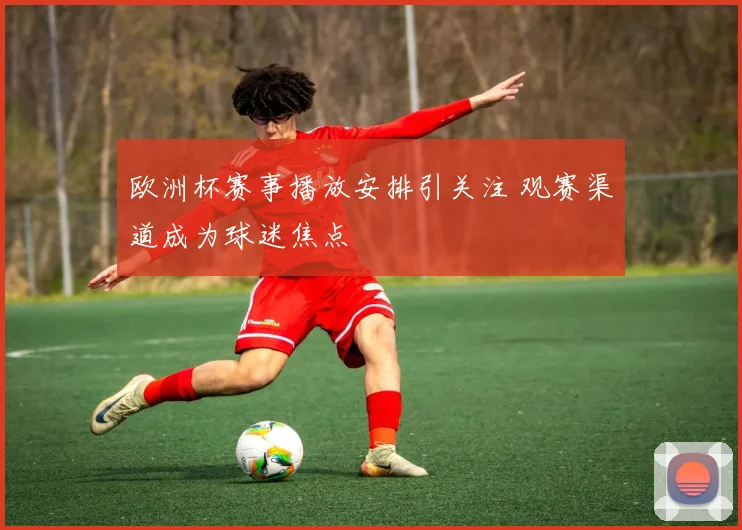 欧洲杯赛事播放安排引关注 观赛渠道成为球迷焦点