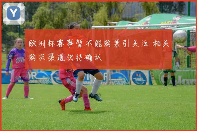 欧洲杯赛事暂不能购票引关注 相关购买渠道仍待确认