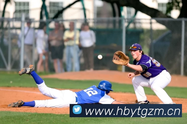 压球首页平台生态图